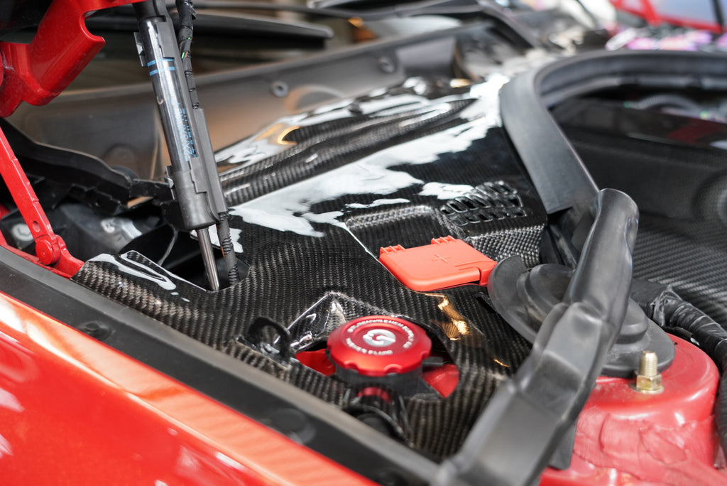 Dinmann | BMW | F30 F31 F32 F33 F36 3, 4 SERIES Engine Cowl Covers refinish in Carbon Fiber