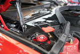 Dinmann | BMW | F30 F31 F32 F33 F36 3, 4 SERIES Engine Cowl Covers refinish in Carbon Fiber